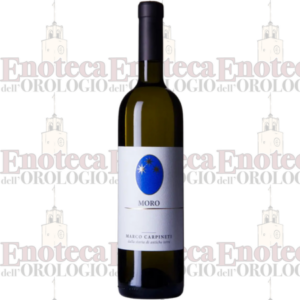 Moro Marco Carpineti 2023