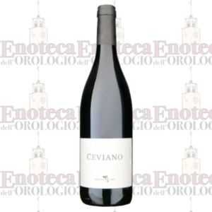 Ceviano Montecorvino 2023